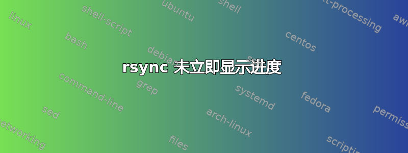 rsync 未立即显示进度