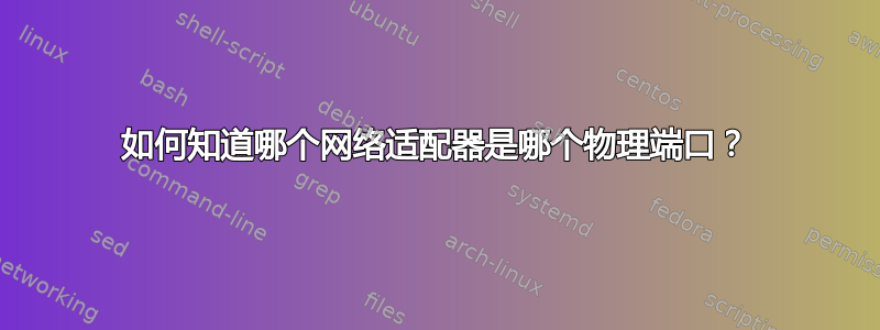 如何知道哪个网络适配器是哪个物理端口？