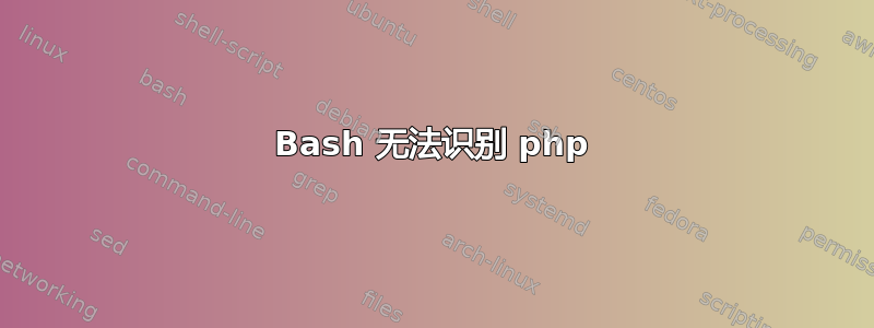 Bash 无法识别 php