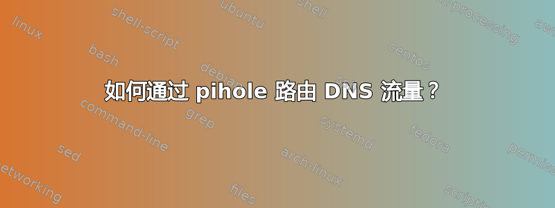 如何通过 pihole 路由 DNS 流量？