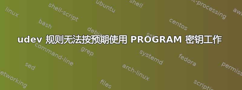 udev 规则无法按预期使用 PROGRAM 密钥工作