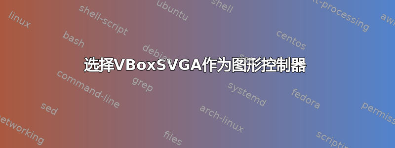 选择VBoxSVGA作为图形控制器