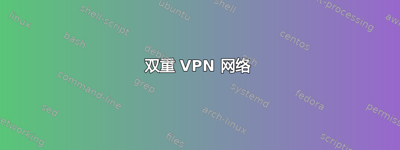 双重 VPN 网络