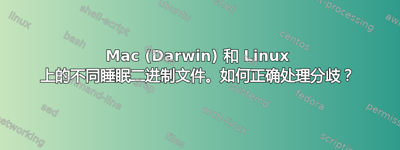 Mac (Darwin) 和 Linux 上的不同睡眠二进制文件。如何正确处理分歧？