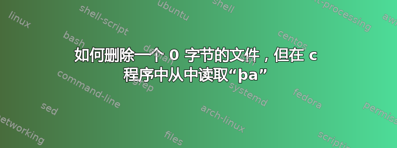 如何删除一个 0 字节的文件，但在 c 程序中从中读取“þa”