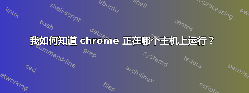 我如何知道 chrome 正在哪个主机上运行？