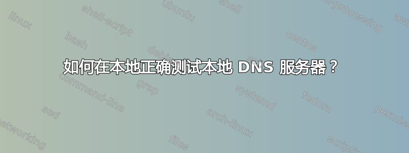 如何在本地正确测试本地 DNS 服务器？