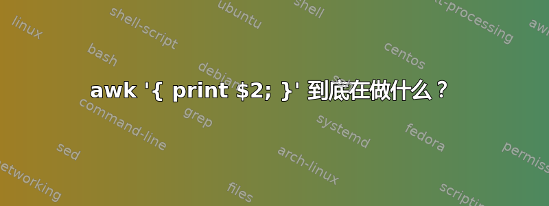 awk '{ print $2; }' 到底在做什么？