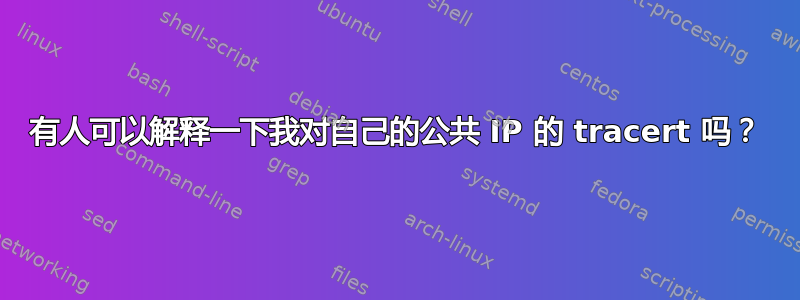 有人可以解释一下我对自己的公共 IP 的 tracert 吗？