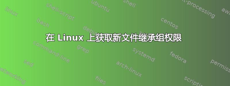 在 Linux 上获取新文件继承组权限