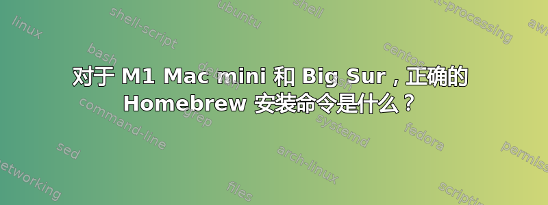 对于 M1 Mac mini 和 Big Sur，正确的 Homebrew 安装命令是什么？