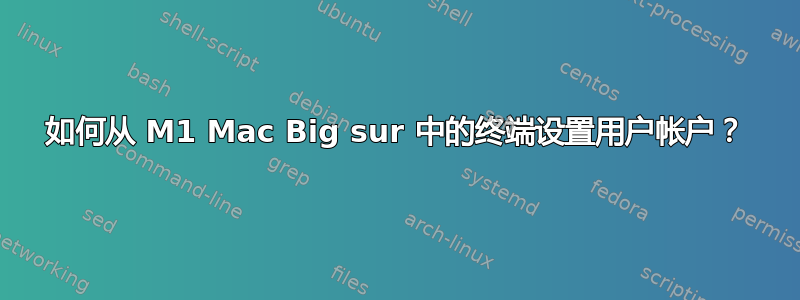 如何从 M1 Mac Big sur 中的终端设置用户帐户？