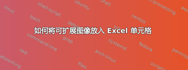 如何将可扩展图像放入 Excel 单元格