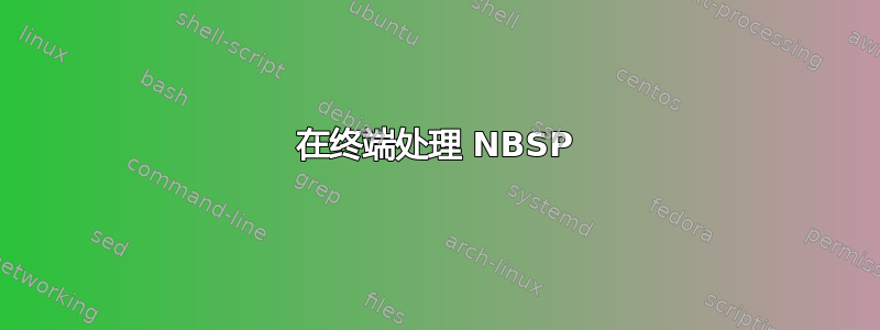 在终端处理 NBSP