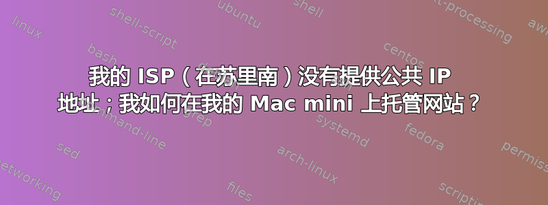 我的 ISP（在苏里南）没有提供公共 IP 地址；我如何在我的 Mac mini 上托管网站？