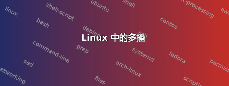 Linux 中的多播