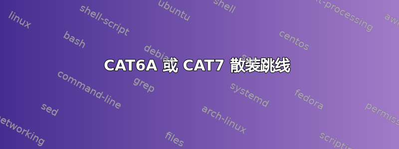 CAT6A 或 CAT7 散装跳线