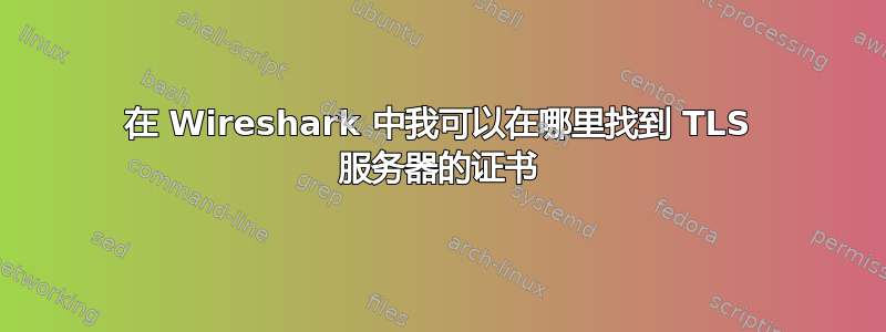 在 Wireshark 中我可以在哪里找到 TLS 服务器的证书