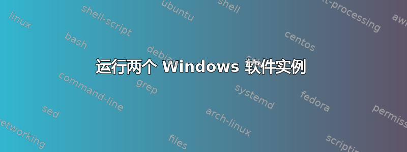 运行两个 Windows 软件实例