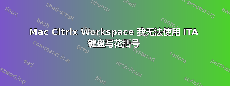 Mac Citrix Workspace 我无法使用 ITA 键盘写花括号