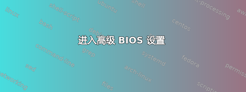 进入高级 BIOS 设置