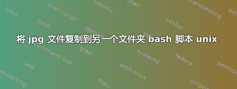 将 jpg 文件复制到另一个文件夹 bash 脚本 unix