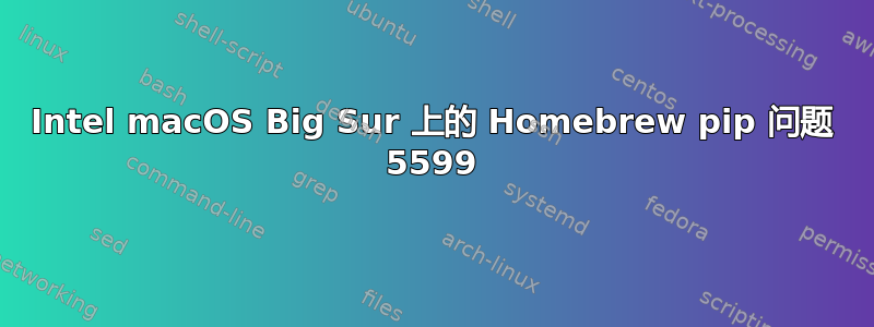 Intel macOS Big Sur 上的 Homebrew pip 问题 5599