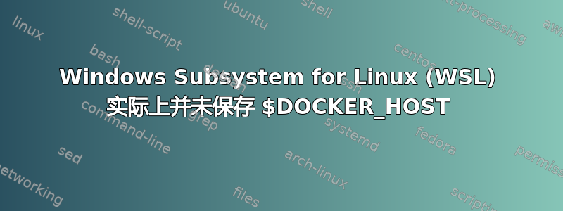 Windows Subsystem for Linux (WSL) 实际上并未保存 $DOCKER_HOST