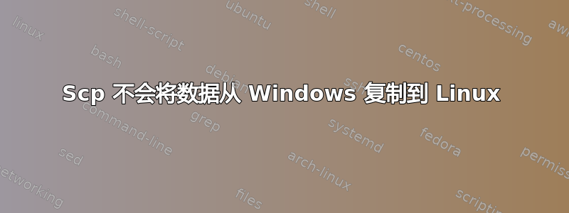 Scp 不会将数据从 Windows 复制到 Linux