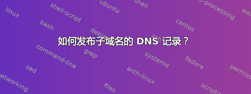 如何发布子域名的 DNS 记录？