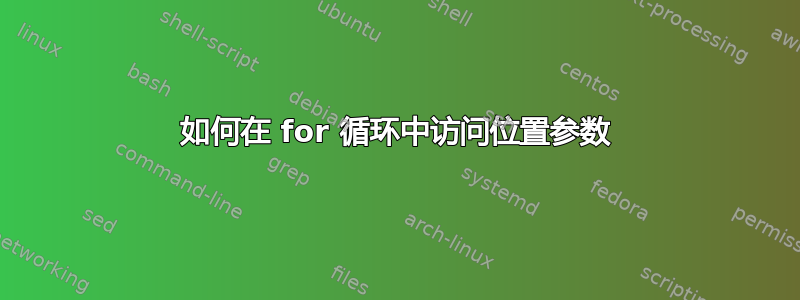 如何在 for 循环中访问位置参数