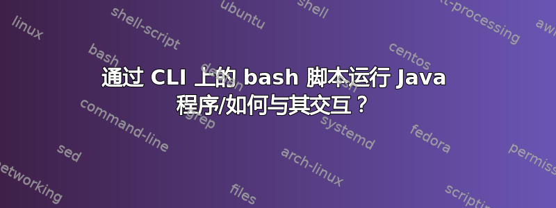 通过 CLI 上的 bash 脚本运行 Java 程序/如何与其交互？