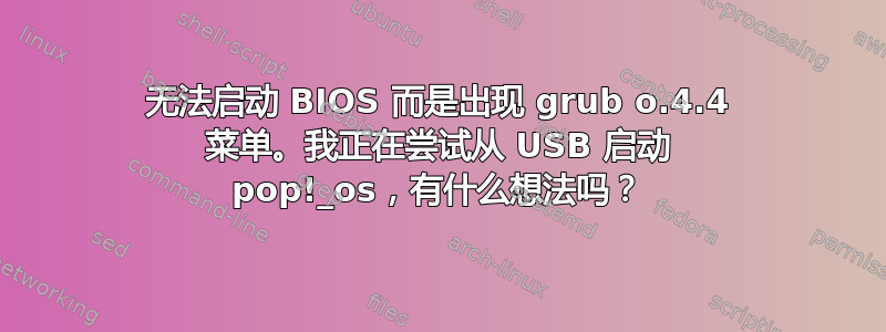 无法启动 BIOS 而是出现 grub o.4.4 菜单。我正在尝试从 USB 启动 pop!_os，有什么想法吗？