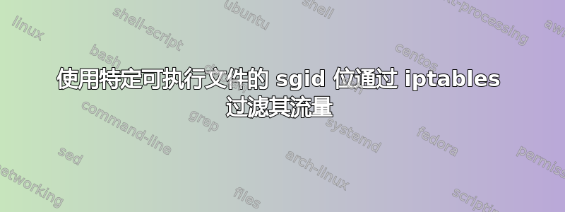 使用特定可执行文件的 sgid 位通过 iptables 过滤其流量