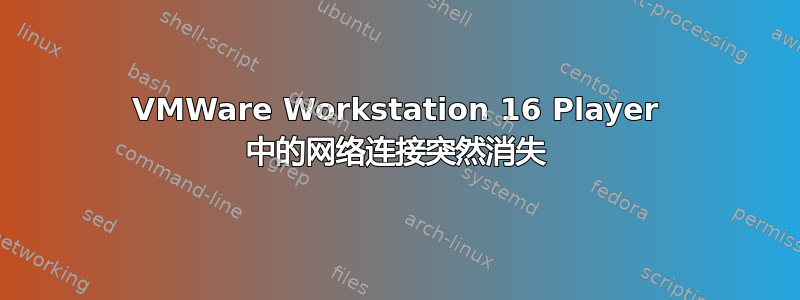 VMWare Workstation 16 Player 中的网络连接突然消失