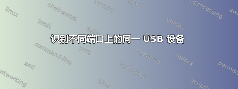 识别不同端口上的同一 USB 设备