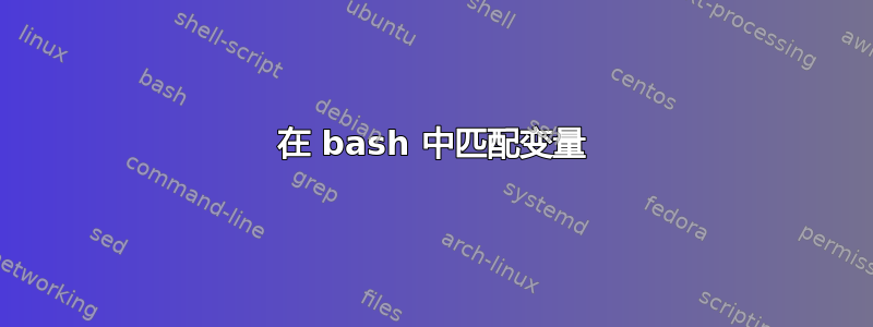 在 bash 中匹配变量