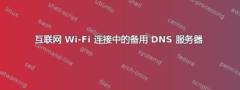 互联网 Wi-Fi 连接中的备用 DNS 服务器