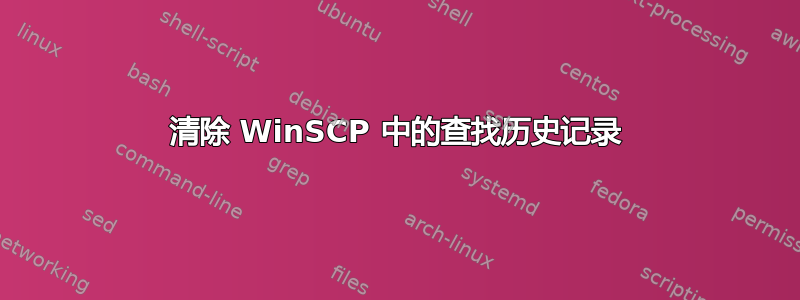 清除 WinSCP 中的查找历史记录