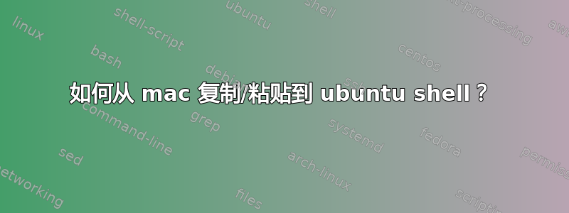 如何从 mac 复制/粘贴到 ubuntu shell？