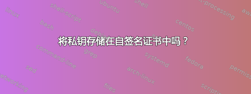 将私钥存储在自签名证书中吗？