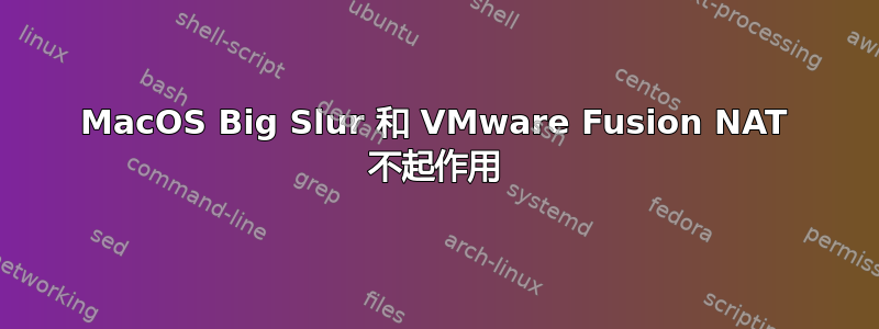 MacOS Big Slur 和 VMware Fusion NAT 不起作用