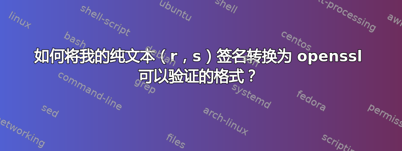 如何将我的纯文本（r，s）签名转换为 openssl 可以验证的格式？