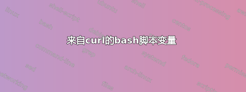 来自curl的bash脚本变量