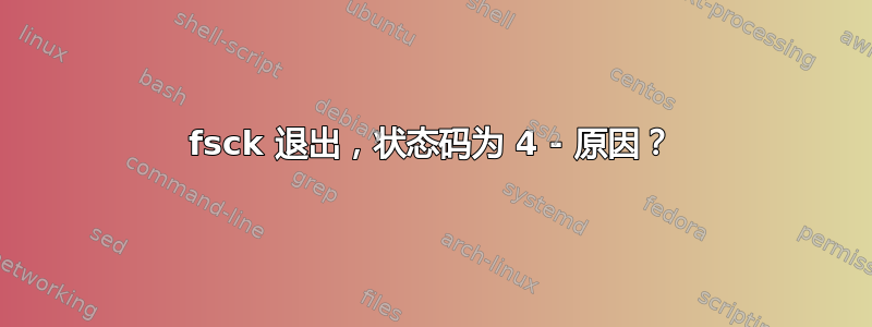 fsck 退出，状态码为 4 - 原因？