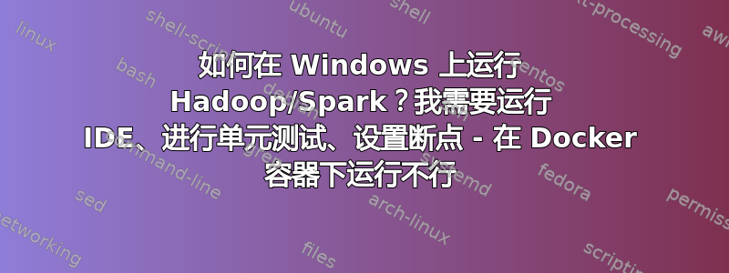 如何在 Windows 上运行 Hadoop/Spark？我需要运行 IDE、进行单元测试、设置断点 - 在 Docker 容器下运行不行