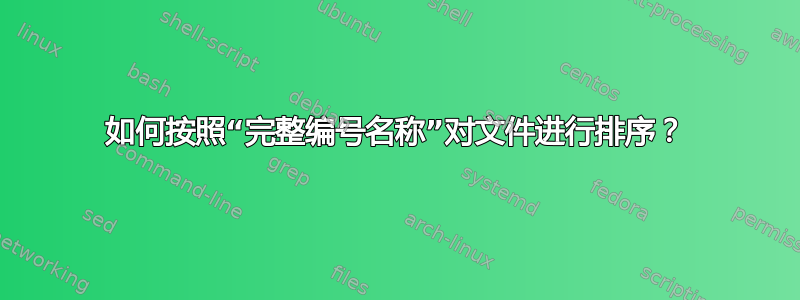 如何按照“完整编号名称”对文件进行排序？