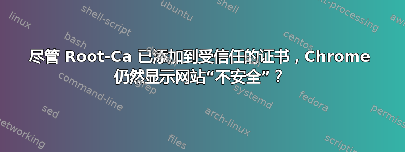 尽管 Root-Ca 已添加到受信任的证书，Chrome 仍然显示网站“不安全”？