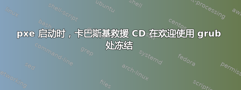 pxe 启动时，卡巴斯基救援 CD 在欢迎使用 grub 处冻结