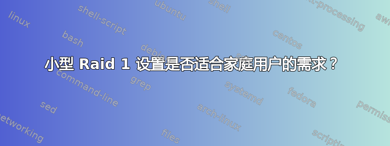 小型 Raid 1 设置是否适合家庭用户的需求？